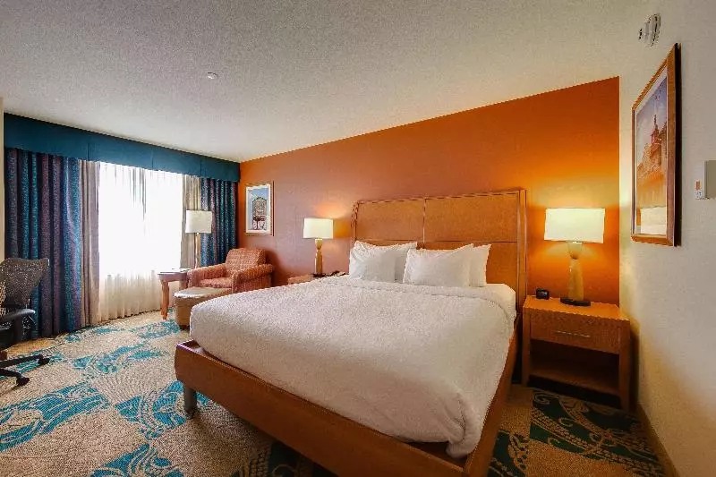 اتاق استاندارد با تخت بزرگ, Hilton Garden Inn Fort Worth Medical Center