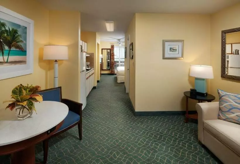 استودیوی استاندارد, Sunshine Suites Resort
