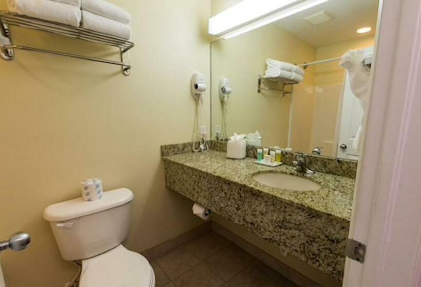 豪华套房, Sunshine Suites Resort