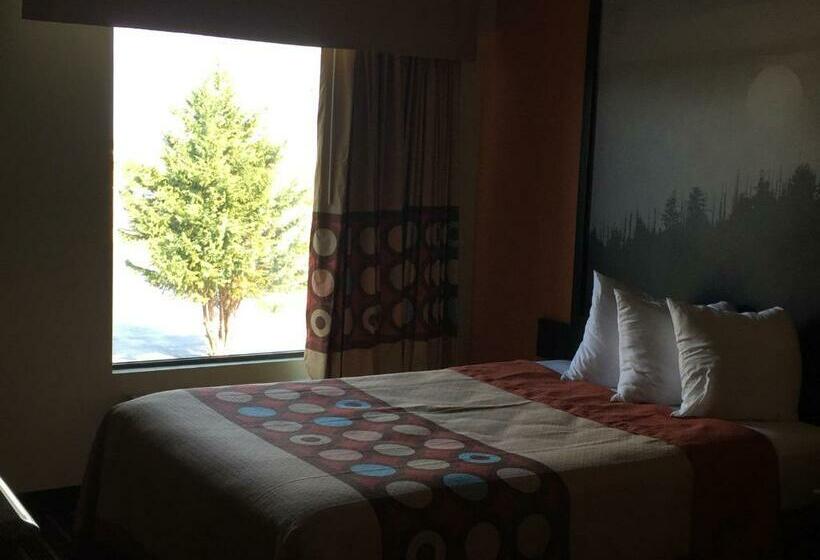 غرفه قياسيه سريرين مزدوجين, Super 8 By Wyndham Dandridge