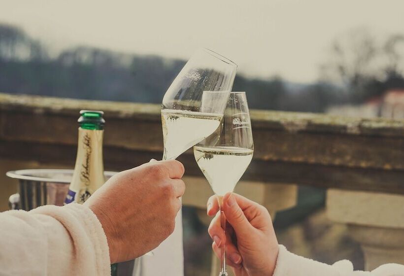 Номер Basic, Vila U Varhanáře