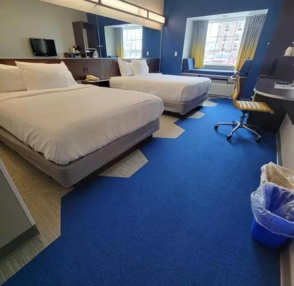 障害者適応デラックスルーム, Microtel Inn & Suites By Wyndham Bluffs