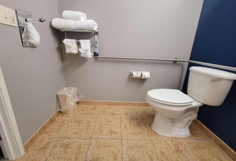 适用于残疾人士的豪华房间, Microtel Inn & Suites By Wyndham Bluffs