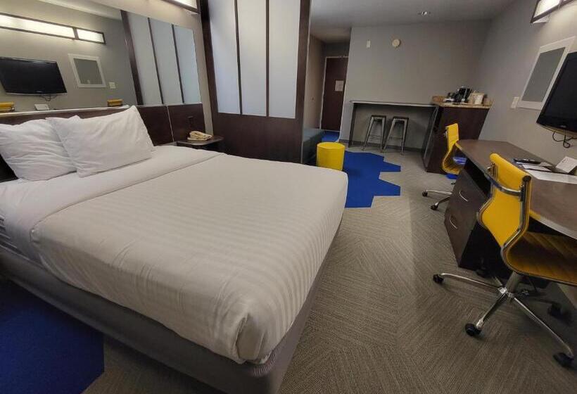 标准工作室, Microtel Inn & Suites By Wyndham Bluffs