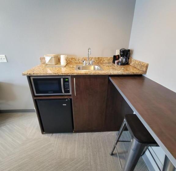 标准工作室, Microtel Inn & Suites By Wyndham Bluffs