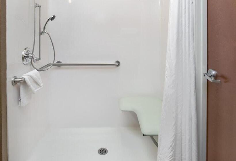 适合残疾人使用的标准间, Microtel Inn & Suites By Wyndham Bluffs