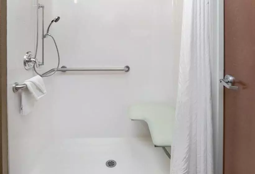 身障者適用スタンダードルーム, Microtel Inn & Suites By Wyndham Bluffs