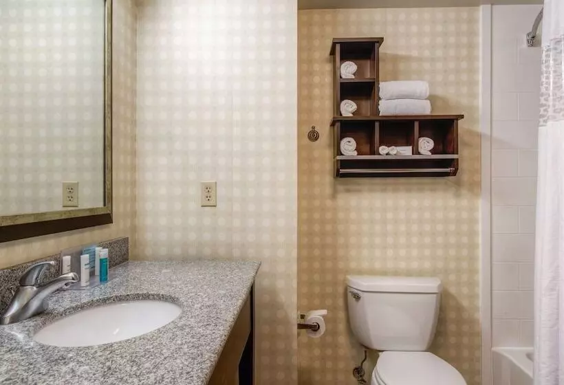 スタンダードルーム, Hampton Inn & Suites Detroit / Airport   Romulus