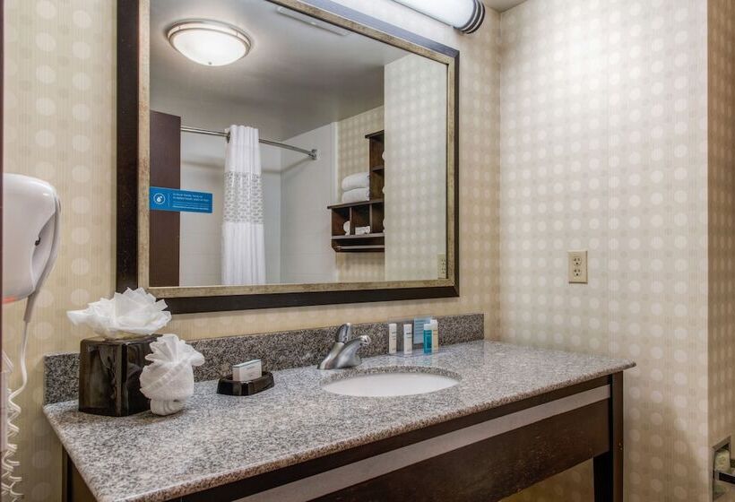 标准间, Hampton Inn & Suites Detroit / Airport   Romulus