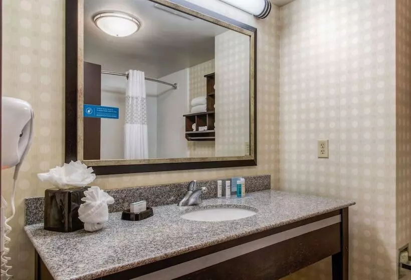 スタンダードルーム, Hampton Inn & Suites Detroit / Airport   Romulus