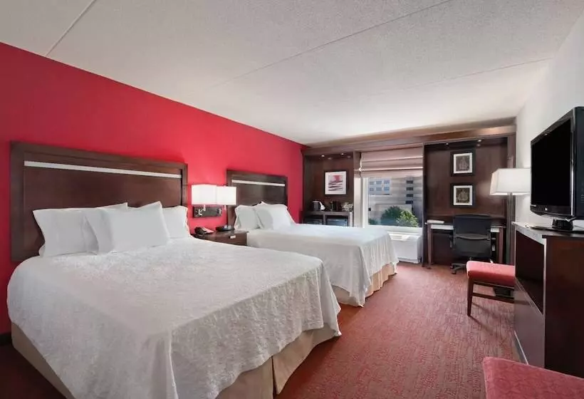 スタンダードルーム, Hampton Inn & Suites Detroit / Airport   Romulus