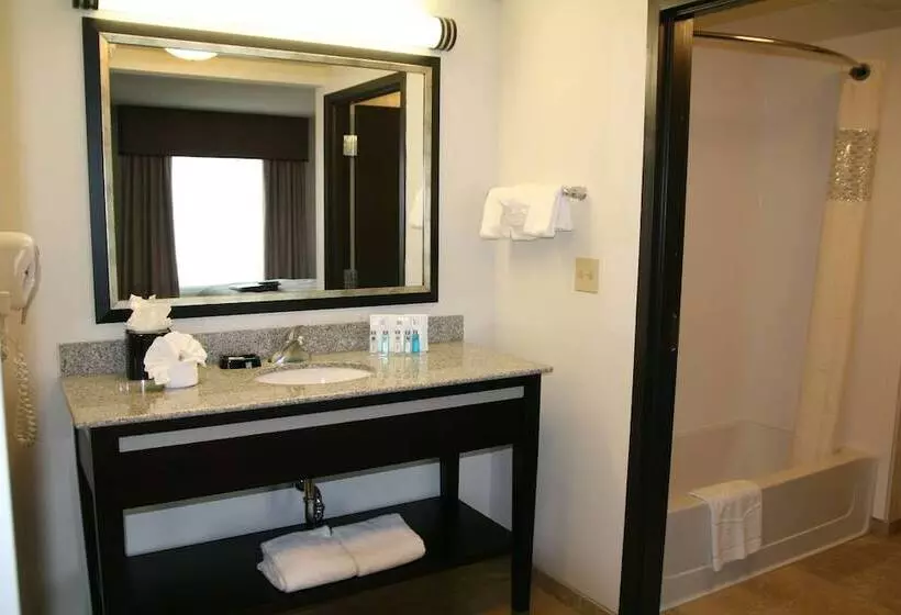 スタンダードスタジオ, Hampton Inn & Suites Detroit / Airport   Romulus