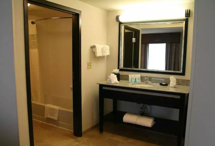 スタンダードスタジオ, Hampton Inn & Suites Detroit / Airport   Romulus