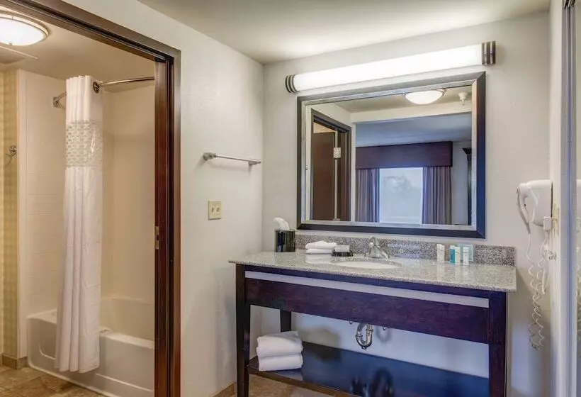 スタンダードスタジオ, Hampton Inn & Suites Detroit / Airport   Romulus