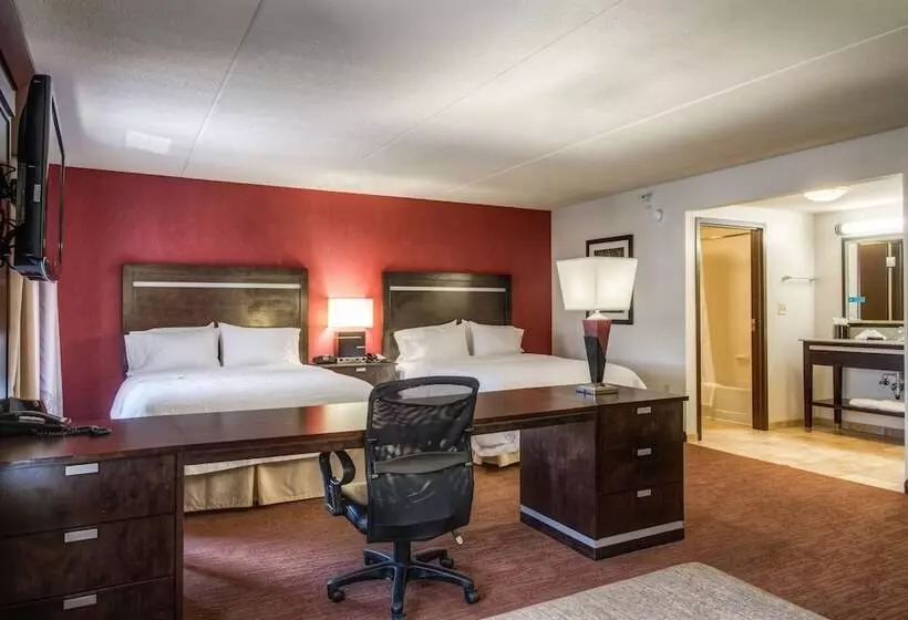 スタンダードスタジオ, Hampton Inn & Suites Detroit / Airport   Romulus