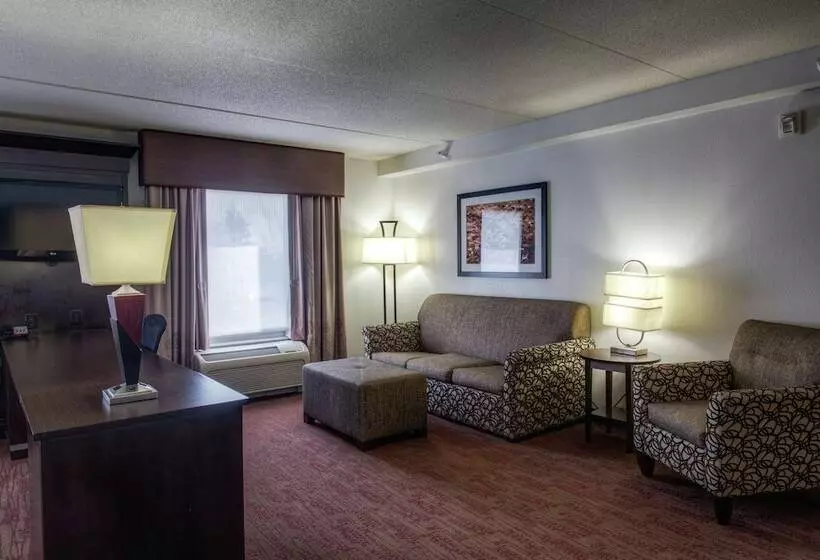 スタンダードスタジオ, Hampton Inn & Suites Detroit / Airport   Romulus