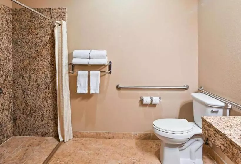 Standard-huone King-vuode, Best Western Plus Kenedy Inn