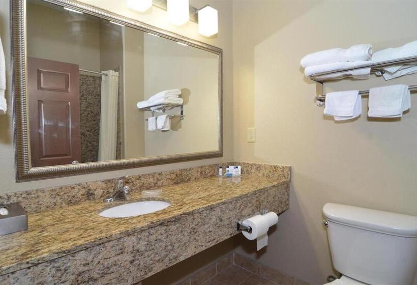 חדר סטנדרט, Best Western Plus Kenedy Inn