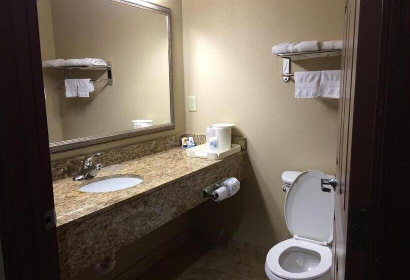 חדר סטנדרט עם מיטת קינג, Best Western Plus Kenedy Inn