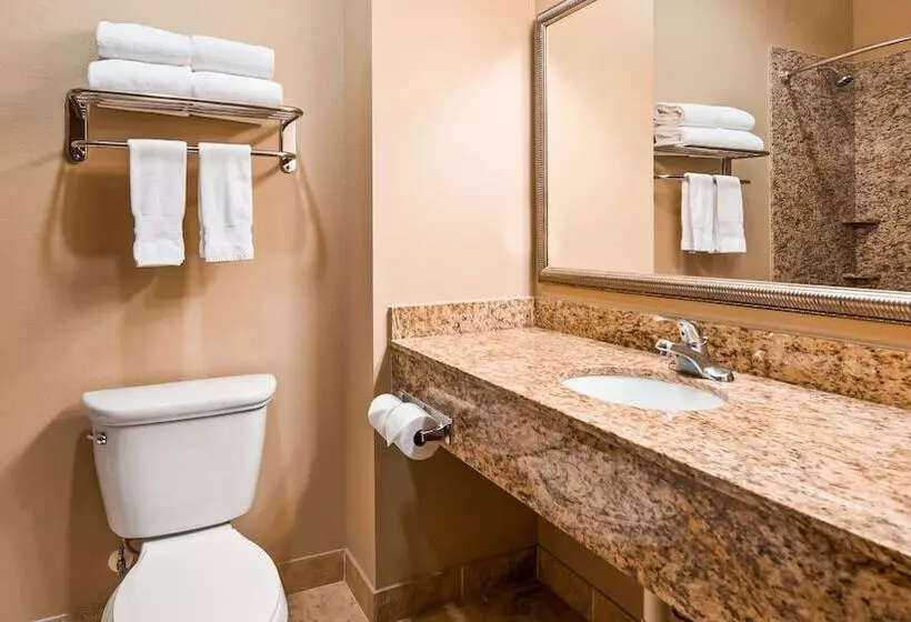 Standard-huone, Best Western Plus Kenedy Inn