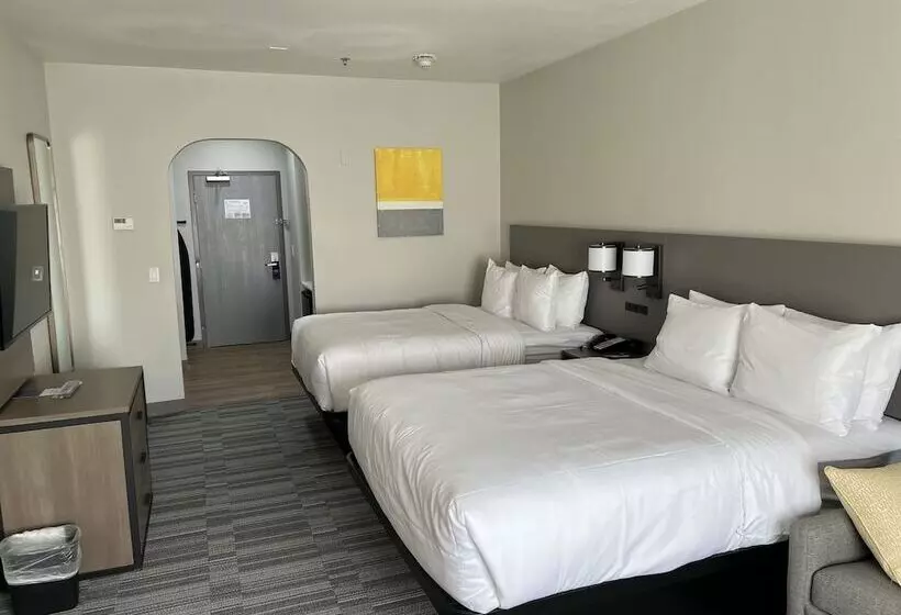 سوئیت برای معلولان, Comfort Inn & Suites