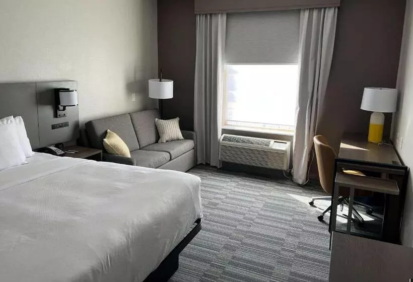 اتاق استاندارد با تخت بزرگ برای معلولان, Comfort Inn & Suites