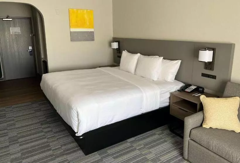 اتاق استاندارد با تخت بزرگ برای معلولان, Comfort Inn & Suites