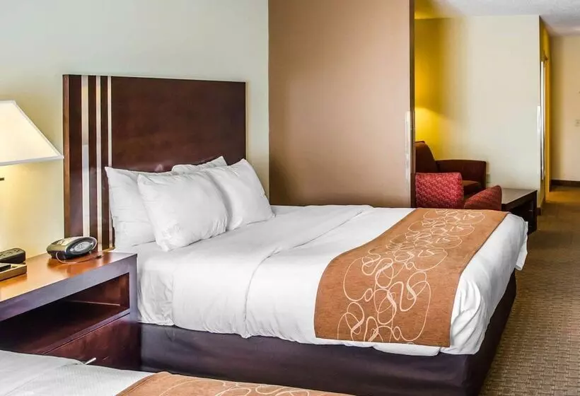 身障者適用スイートルーム, Comfort Suites Hummelstown  Hershey