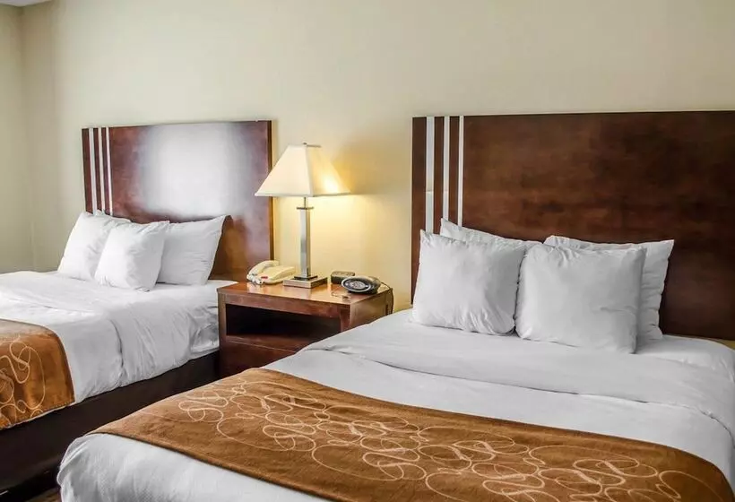 身障者適用スイートルーム, Comfort Suites Hummelstown  Hershey
