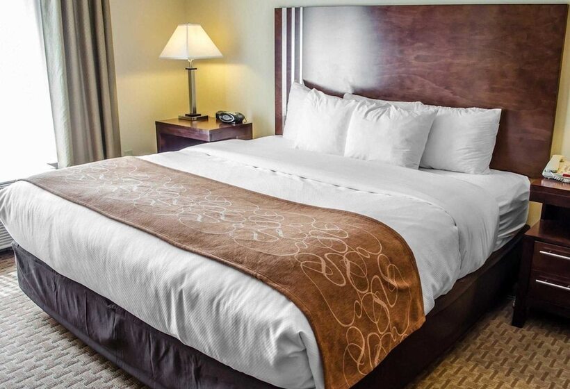 套房, Comfort Suites Hummelstown Hershey