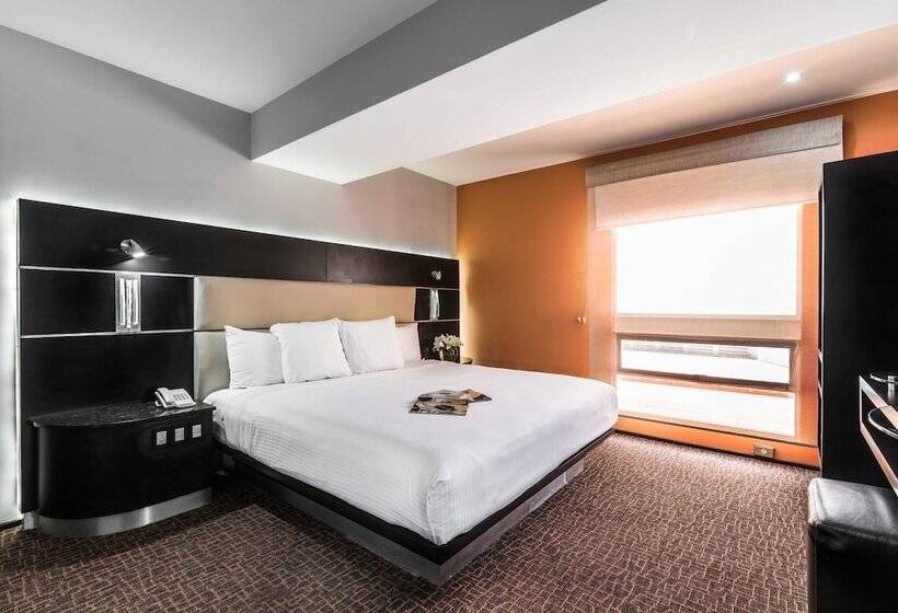 デラックスルーム, Exe Cities Reforma