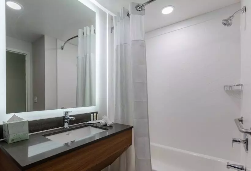 スイート, Fairfield Inn & Suites By Marriott Atlanta Stonecrest