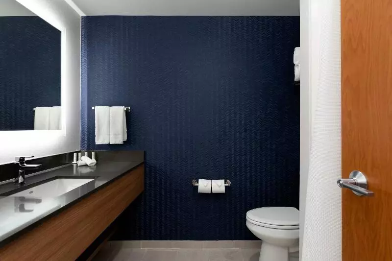 キングサイズベッドのスタンダードルーム, Fairfield Inn & Suites By Marriott Atlanta Stonecrest