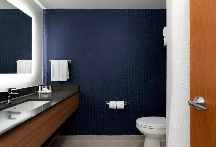 身障者適用スタンダードルーム, Fairfield Inn & Suites By Marriott Atlanta Stonecrest