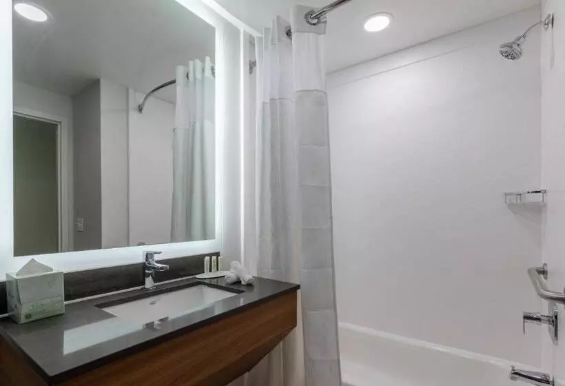 身障者適用スタンダードルーム, Fairfield Inn & Suites By Marriott Atlanta Stonecrest