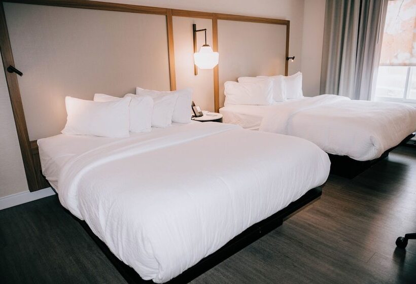 带2个双人床的标准工作室, Fairfield Inn & Suites By Marriott Lexington Georgetown/college Inn