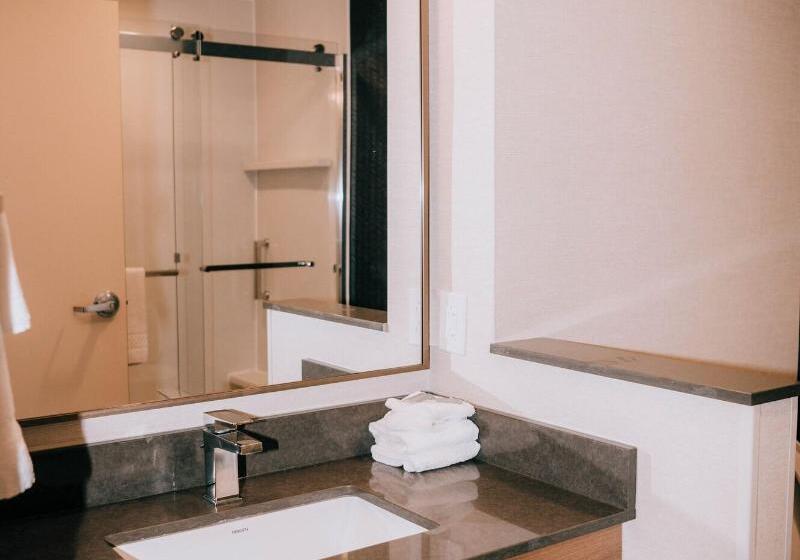 带大床的套房, Fairfield Inn & Suites By Marriott Lexington Georgetown/college Inn