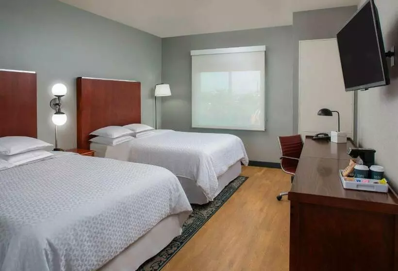 スーペリアールーム, Four Points By Sheraton Houston Hobby Airport