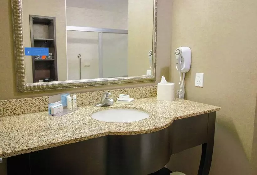 スタンダードルーム, Hampton Inn & Suites By Hilton Flowery Branch Lake Lanier