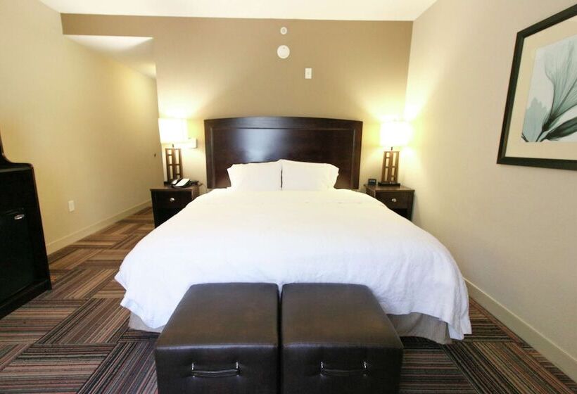 스탠다드 룸, Hampton Inn & Suites By Hilton Flowery Branch Lake Lanier