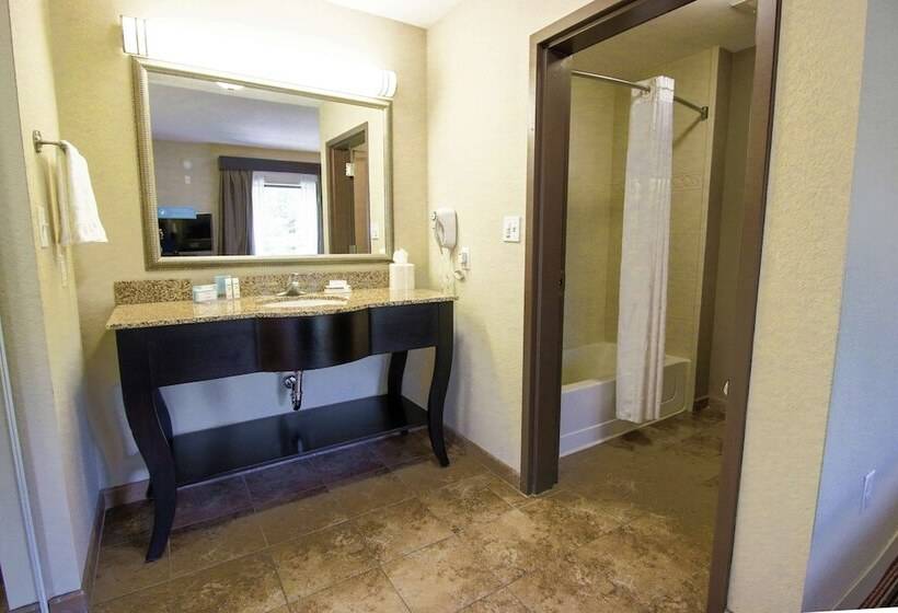 스탠다드 룸, Hampton Inn & Suites By Hilton Flowery Branch Lake Lanier