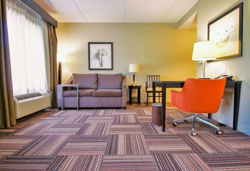 스탠다드 룸, Hampton Inn & Suites By Hilton Flowery Branch Lake Lanier