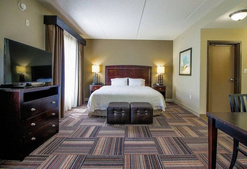 스탠다드 룸, Hampton Inn & Suites By Hilton Flowery Branch Lake Lanier