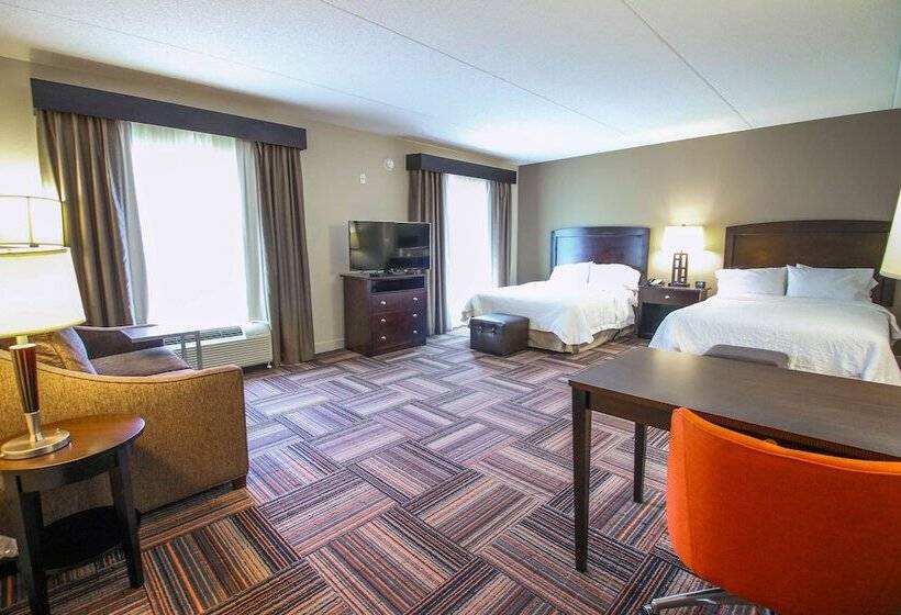 스탠다드 룸, Hampton Inn & Suites By Hilton Flowery Branch Lake Lanier