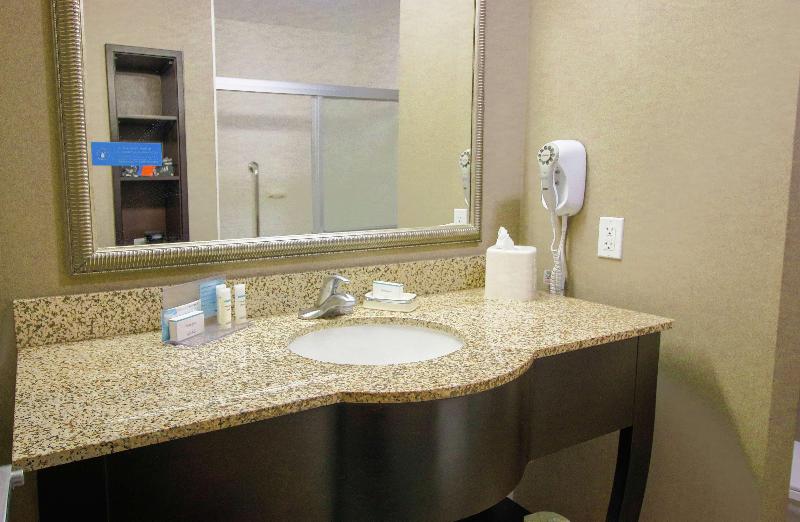 스탠다드 룸 킹사이즈 침대, Hampton Inn & Suites By Hilton Flowery Branch Lake Lanier