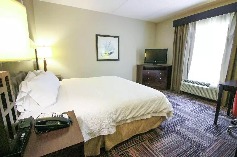 キングサイズベッドのスタンダードルーム, Hampton Inn & Suites By Hilton Flowery Branch Lake Lanier