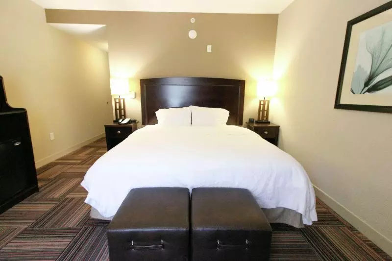 キングサイズベッドのスタンダードルーム, Hampton Inn & Suites By Hilton Flowery Branch Lake Lanier