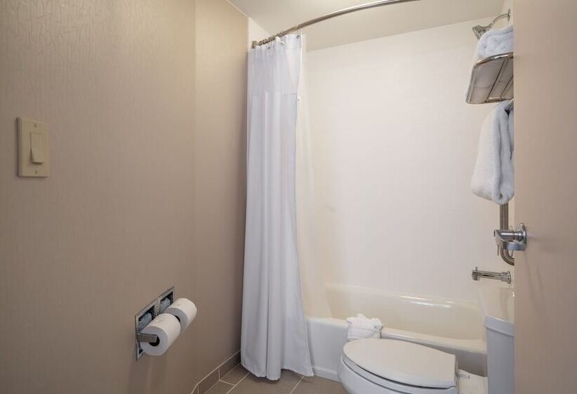 جناح, Springhill Suites Gainesville