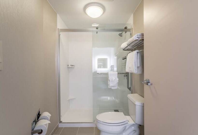 جناح, Springhill Suites Gainesville