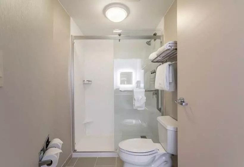 スイート, Springhill Suites Gainesville